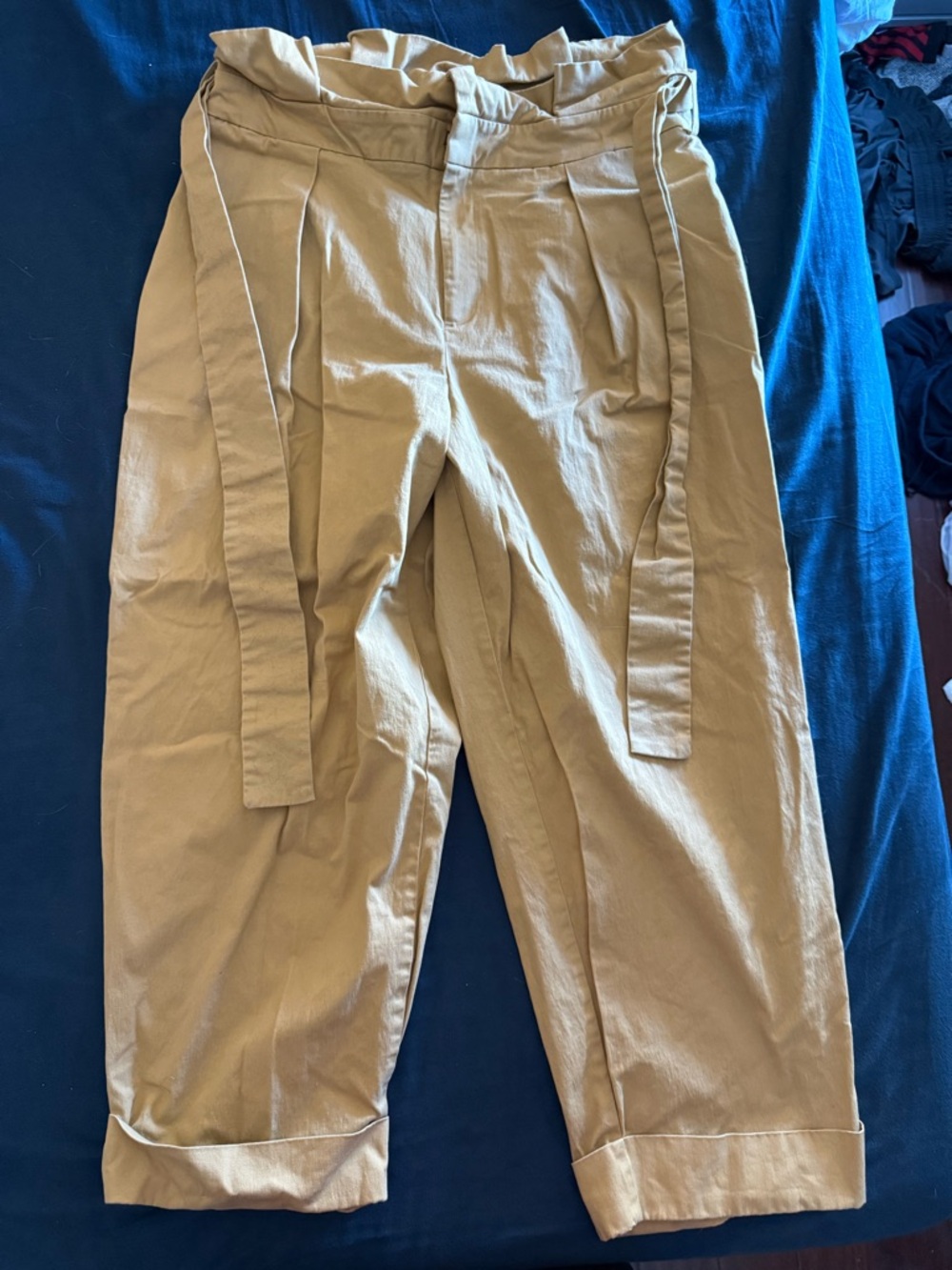 Eloquii Paper Bag Waisted Wide Leg Pants W